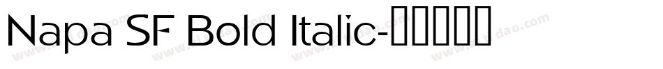 Napa SF Bold Italic字体转换